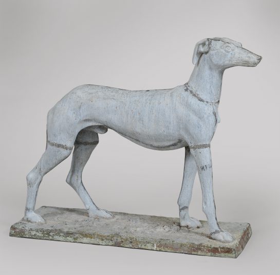 Standing Greyhound